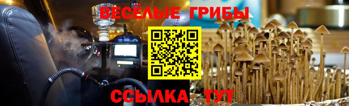 Нижний Тагил  как найти закладки  Вход с VPN  Псилоцибиновые грибы Cubensis 
